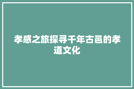 孝感之旅探寻千年古邑的孝道文化