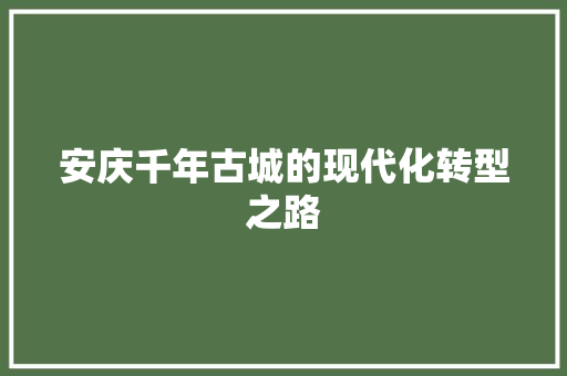 安庆千年古城的现代化转型之路 神马SEO