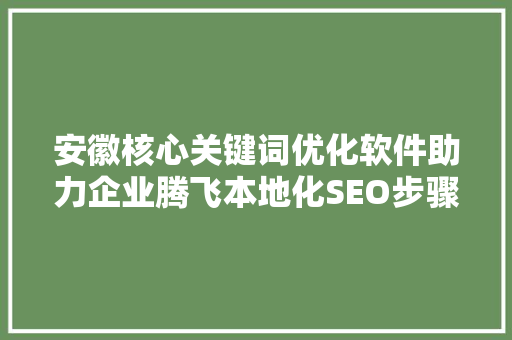 安徽核心关键词优化软件助力企业腾飞本地化SEO步骤