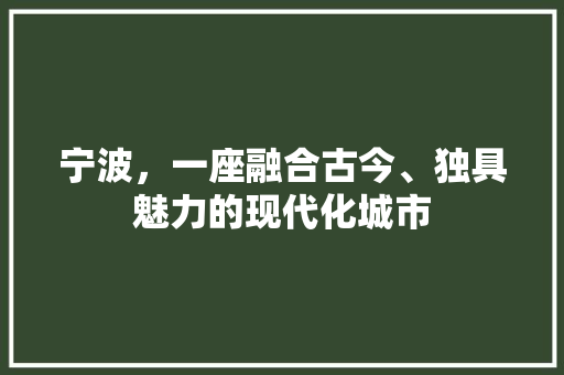 宁波，一座融合古今、独具魅力的现代化城市 网站建设公司