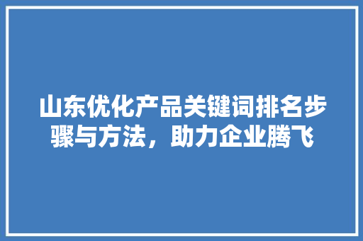 山东优化产品关键词排名步骤与方法，助力企业腾飞