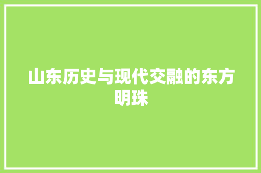 山东历史与现代交融的东方明珠