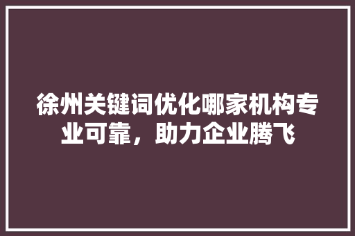 徐州关键词优化哪家机构专业可靠，助力企业腾飞