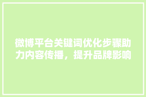 微博平台关键词优化步骤助力内容传播，提升品牌影响力 百度SEO