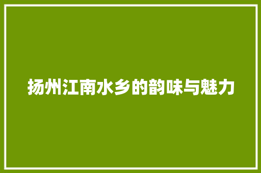 扬州江南水乡的韵味与魅力