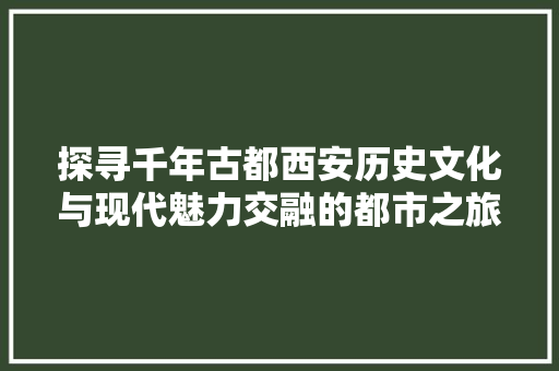 探寻千年古都西安历史文化与现代魅力交融的都市之旅