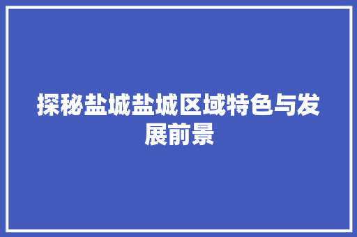 探秘盐城盐城区域特色与发展前景