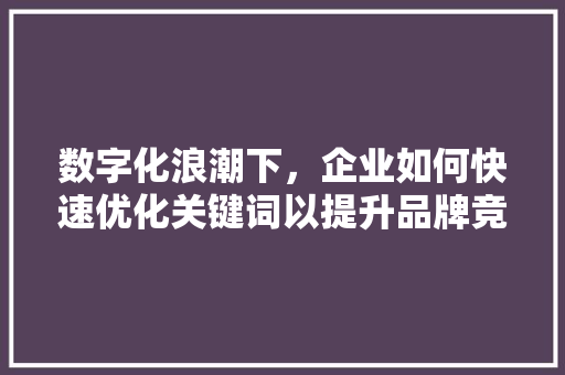 数字化浪潮下，企业如何快速优化关键词以提升品牌竞争力