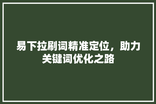 易下拉刷词精准定位，助力关键词优化之路