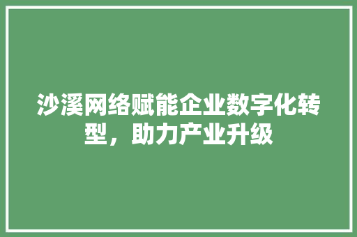 沙溪网络赋能企业数字化转型，助力产业升级