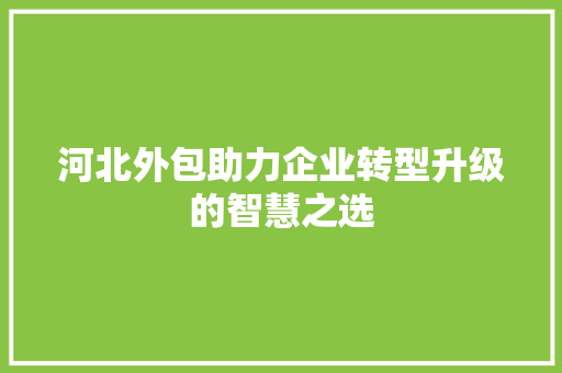 河北外包助力企业转型升级的智慧之选