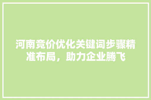河南竞价优化关键词步骤精准布局，助力企业腾飞 神马SEO