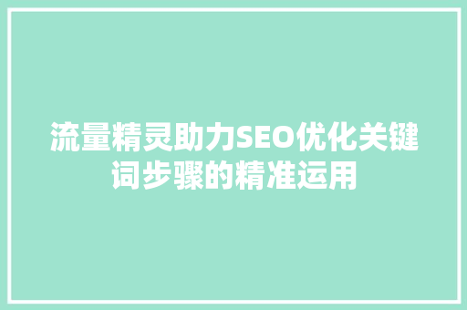 流量精灵助力SEO优化关键词步骤的精准运用