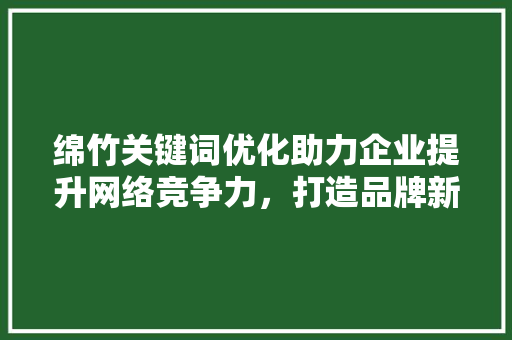 绵竹关键词优化助力企业提升网络竞争力，打造品牌新高度 搜狗SEO