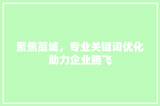 聚焦藁城，专业关键词优化助力企业腾飞 SEO关键词