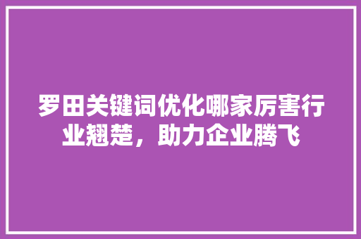 罗田关键词优化哪家厉害行业翘楚，助力企业腾飞