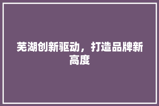 芜湖创新驱动，打造品牌新高度 网站建设公司
