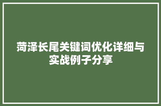 菏泽长尾关键词优化详细与实战例子分享 神马SEO