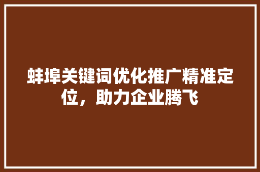 蚌埠关键词优化推广精准定位，助力企业腾飞 网站建设公司