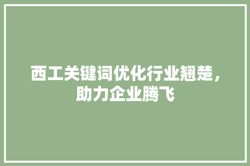 西工关键词优化行业翘楚，助力企业腾飞