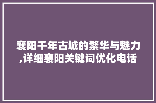 襄阳千年古城的繁华与魅力,详细襄阳关键词优化电话 神马SEO
