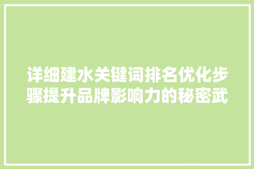 详细建水关键词排名优化步骤提升品牌影响力的秘密武器 网站建设公司