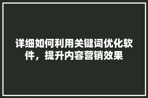 详细如何利用关键词优化软件，提升内容营销效果
