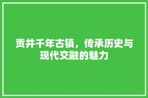 贡井千年古镇，传承历史与现代交融的魅力 网站建设公司