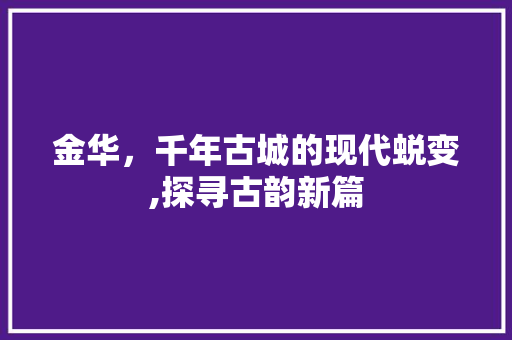 金华，千年古城的现代蜕变,探寻古韵新篇 网站建设公司