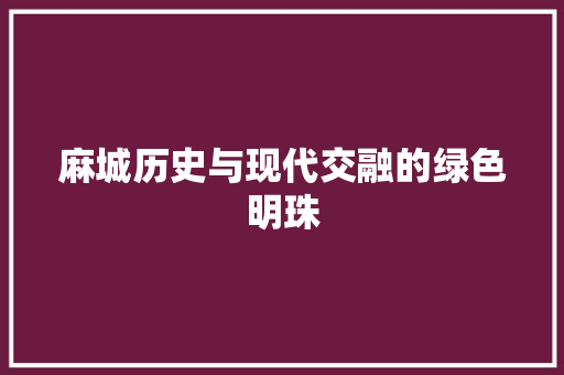 麻城历史与现代交融的绿色明珠 网站建设公司