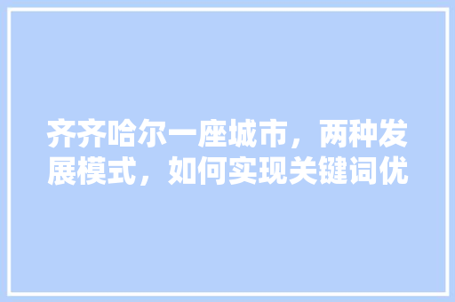 齐齐哈尔一座城市，两种发展模式，如何实现关键词优化排名 神马SEO