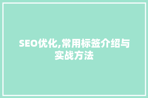 SEO优化,常用标签介绍与实战方法