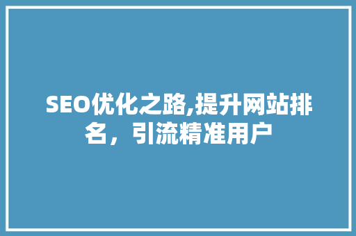 SEO优化之路,提升网站排名，引流精准用户