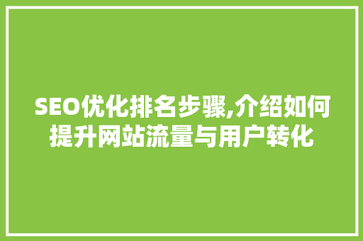 SEO优化排名步骤,介绍如何提升网站流量与用户转化