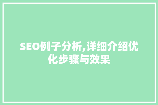 SEO例子分析,详细介绍优化步骤与效果