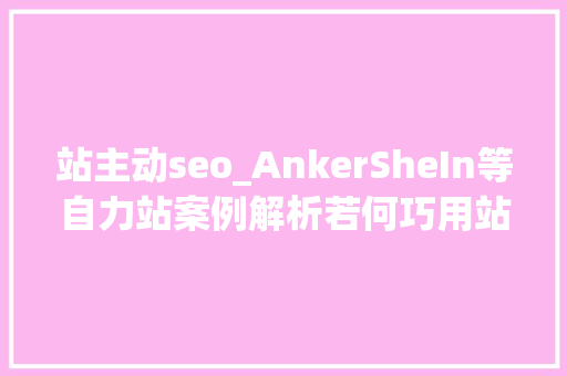 站主动seo_AnkerSheIn等自力站案例解析若何巧用站内营销功能快速出单
