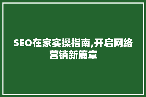 SEO在家实操指南,开启网络营销新篇章 必应SEO