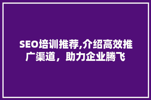 SEO培训推荐,介绍高效推广渠道，助力企业腾飞 网站建设公司