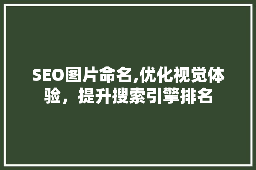 SEO图片命名,优化视觉体验，提升搜索引擎排名 百度SEO