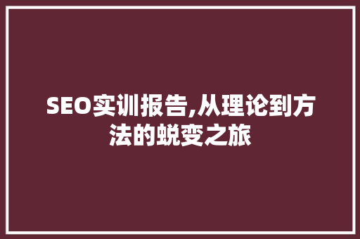 SEO实训报告,从理论到方法的蜕变之旅 搜狗SEO