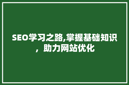 SEO学习之路,掌握基础知识，助力网站优化 神马SEO