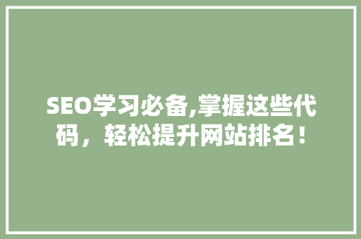 SEO学习必备,掌握这些代码，轻松提升网站排名！ SEO关键词