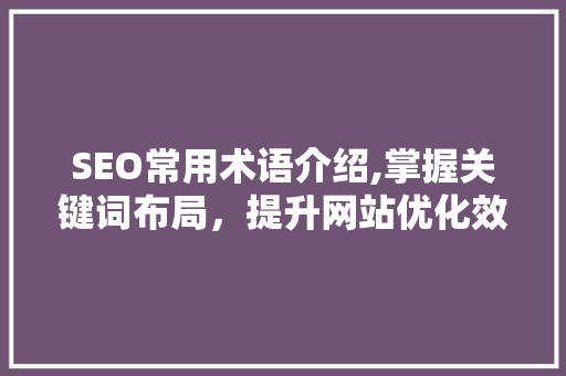 SEO常用术语介绍,掌握关键词布局，提升网站优化效果 百度SEO