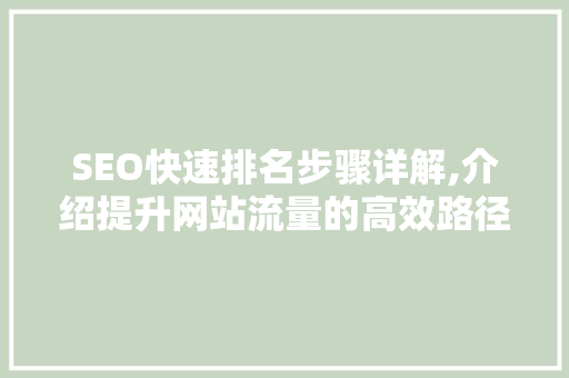 SEO快速排名步骤详解,介绍提升网站流量的高效路径 百度SEO