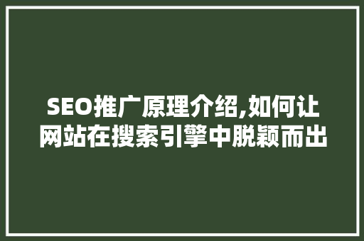 SEO推广原理介绍,如何让网站在搜索引擎中脱颖而出 百度SEO
