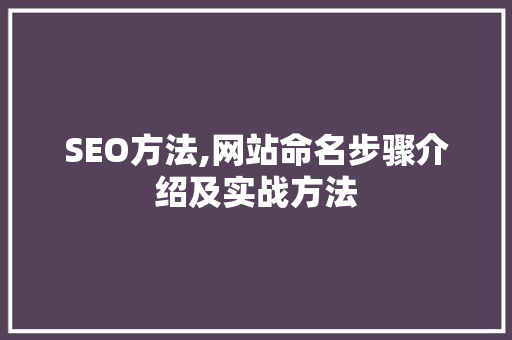 SEO方法,网站命名步骤介绍及实战方法 搜狗SEO