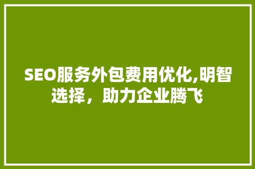 SEO服务外包费用优化,明智选择，助力企业腾飞