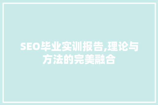 SEO毕业实训报告,理论与方法的完美融合