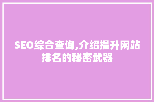 SEO综合查询,介绍提升网站排名的秘密武器