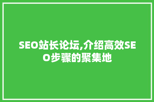 SEO站长论坛,介绍高效SEO步骤的聚集地
